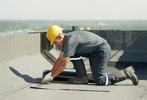 Best Specialized Insulation Services in Stone Ridge, NY